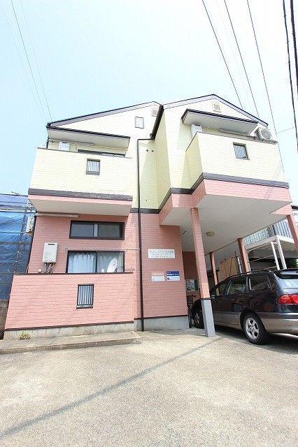 クリサンJアプリコット日佐