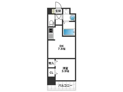 エンブレイス大橋南(1DK/6階)の間取り写真