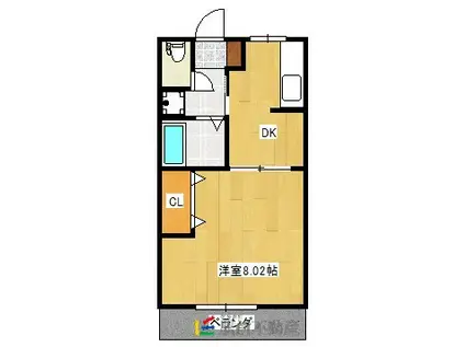 アトラエントⅢ(1DK/1階)の間取り写真