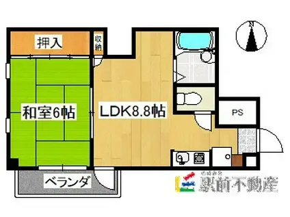 パープルシャトー(1LDK/5階)の間取り写真