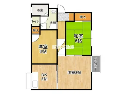 シャトレ深町A(3DK/1階)の間取り写真