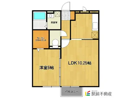 グレイスC棟(1LDK/1階)の間取り写真