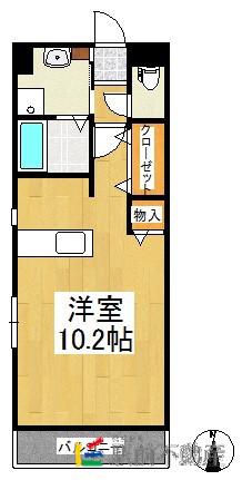 セントサーⅡ(1K/5階)の間取り写真