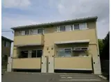 セントポーリア Ⅳ