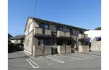 アガパンサスB