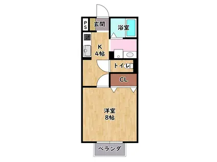 ピノカーサ(1K/1階)の間取り写真