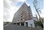 アネシス