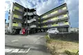 ヤンググレイス若園