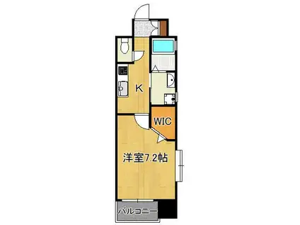 アクシオ片野(1K/12階)の間取り写真