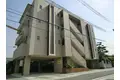 CLEO石坪