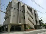 CLEO石坪