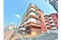 桃園VIPマンション B棟