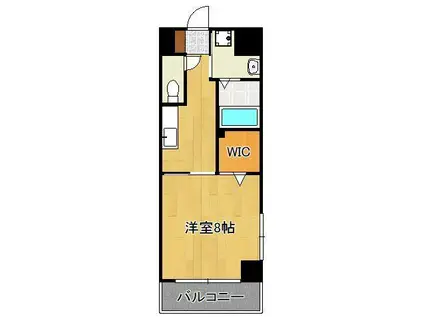 パークテラス浅生(1K/3階)の間取り写真