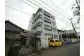 シャトレ金鶏Ⅱ
