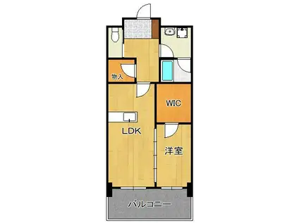 アヴィニールグランデ金田(1LDK/5階)の間取り写真
