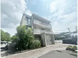ステラ相坂