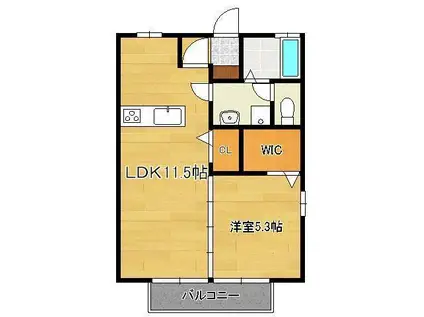 シェルノーブル C棟(1LDK/1階)の間取り写真