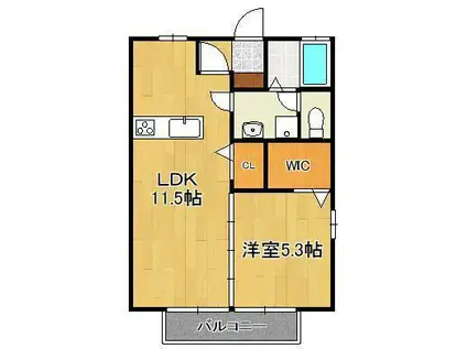 シェルノーブル C棟(1LDK/2階)の間取り写真