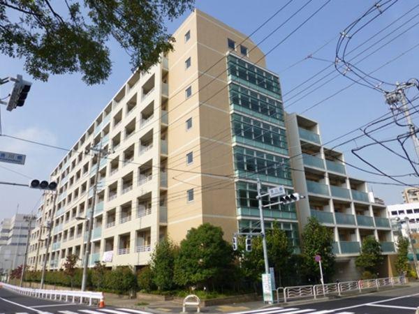 WILLDO清澄