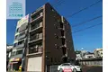 ルネス・ヨコタ