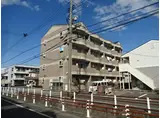 岡山県岡山市北区 4階建 築28年