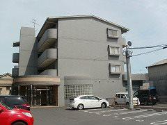 AZA才ノ免