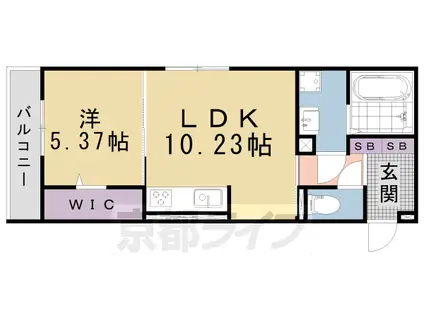 カノン蓮池(1LDK/1階)の間取り写真