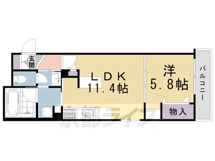 シャーメゾン高徳寺Ⅰ(1LDK/1階)の間取り写真