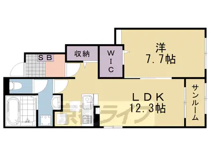 クレインコートⅡ(1LDK/1階)の間取り写真