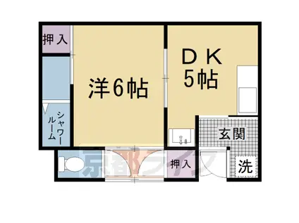 山陰本線 円町駅 徒歩8分 1階建 築71年(1DK)の間取り写真