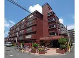 京阪電気鉄道京阪線 龍谷大前深草駅 徒歩8分 5階建 築46年