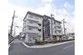 グレース桂