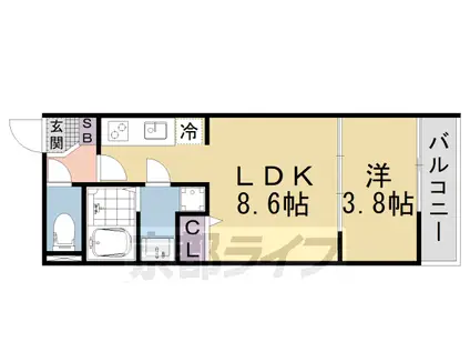東海道本線 山科駅 徒歩10分 4階建 新築(1LDK/4階)の間取り写真