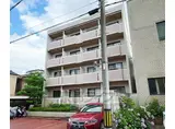 京都市東西線 西大路御池駅 徒歩4分 4階建 築39年