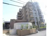 ネバーランド西京極