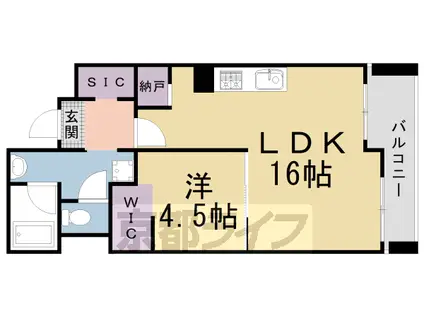 山陰本線 円町駅 徒歩10分 7階建 築39年(1LDK/5階)の間取り写真