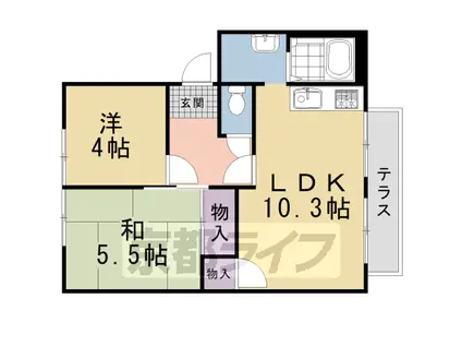 ドミールカンザカ(2LDK/1階)の間取り写真