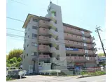 奈良線 ＪＲ藤森駅 徒歩18分 6階建 築38年