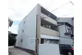 フェンネル肥後