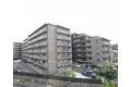 京都府京都市伏見区桃山町松平筑前の建物