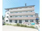 FIRST HILLS TAHARA