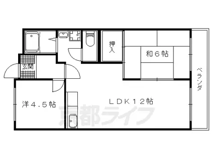 京都市東西線 椥辻駅 徒歩11分 5階建 築42年(2LDK/2階)の間取り写真
