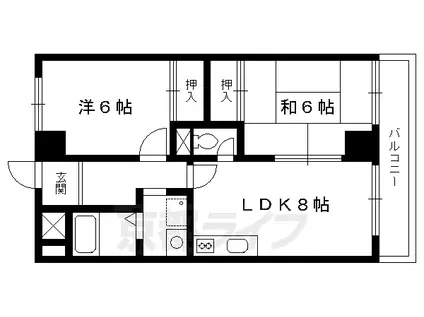 京福北野線 北野白梅町駅 徒歩5分 4階建 築39年(2LDK/2階)の間取り写真