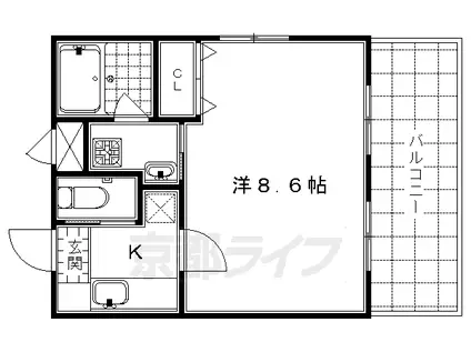 東海道本線 京都駅 徒歩7分 4階建 築19年(1K/1階)の間取り写真