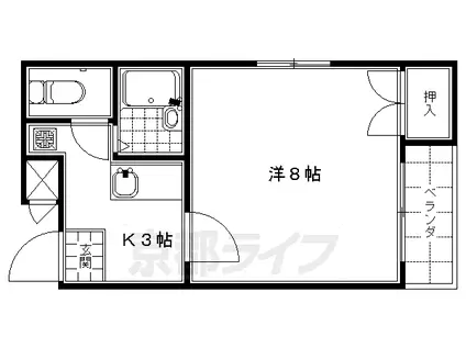 奈良線 東福寺駅 徒歩4分 3階建 築29年(1K/1階)の間取り写真