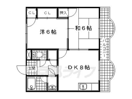 リーベンハイム(1LDK/1階)の間取り写真