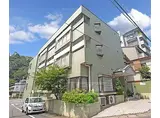 アレックス白川