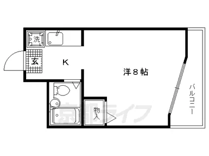 B&ホワイトM(1K/5階)の間取り写真