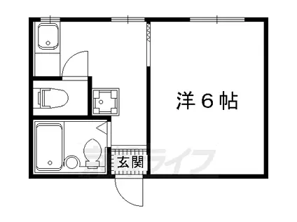 メゾンワイズ(1K/2階)の間取り写真