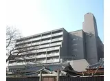 東海道本線 山科駅 徒歩1分 9階建 築29年